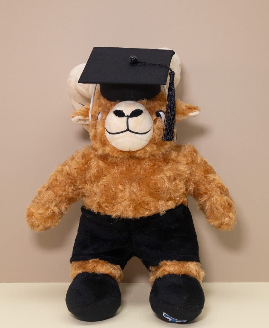 Graduation Highland Cow — LovelyJoy custom plush toy