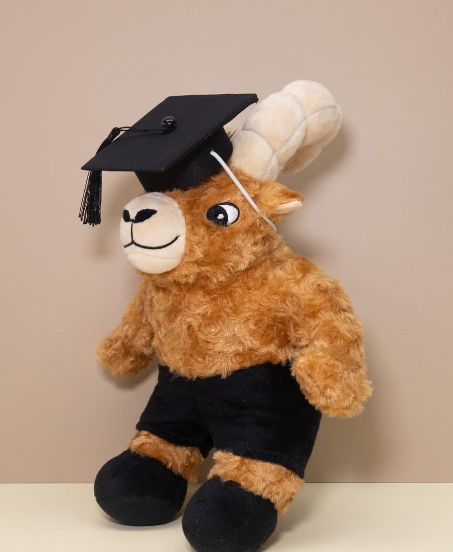 Graduation Highland Cow - LovelyJoy plush toy 2
