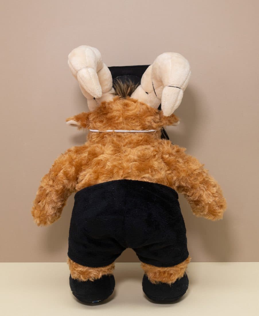 Graduation Highland Cow - LovelyJoy plush toy 3