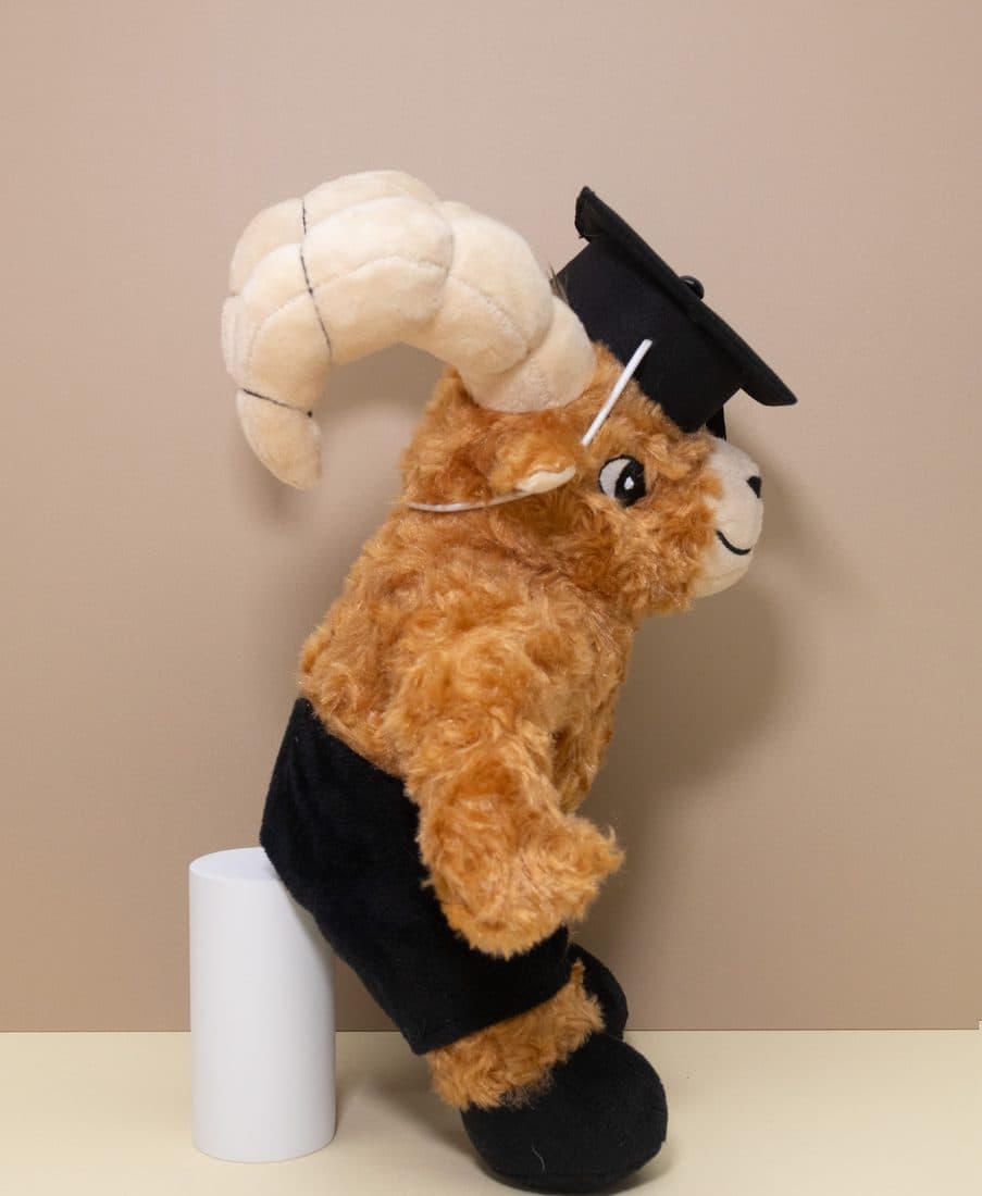 Graduation Highland Cow - LovelyJoy plush toy 4