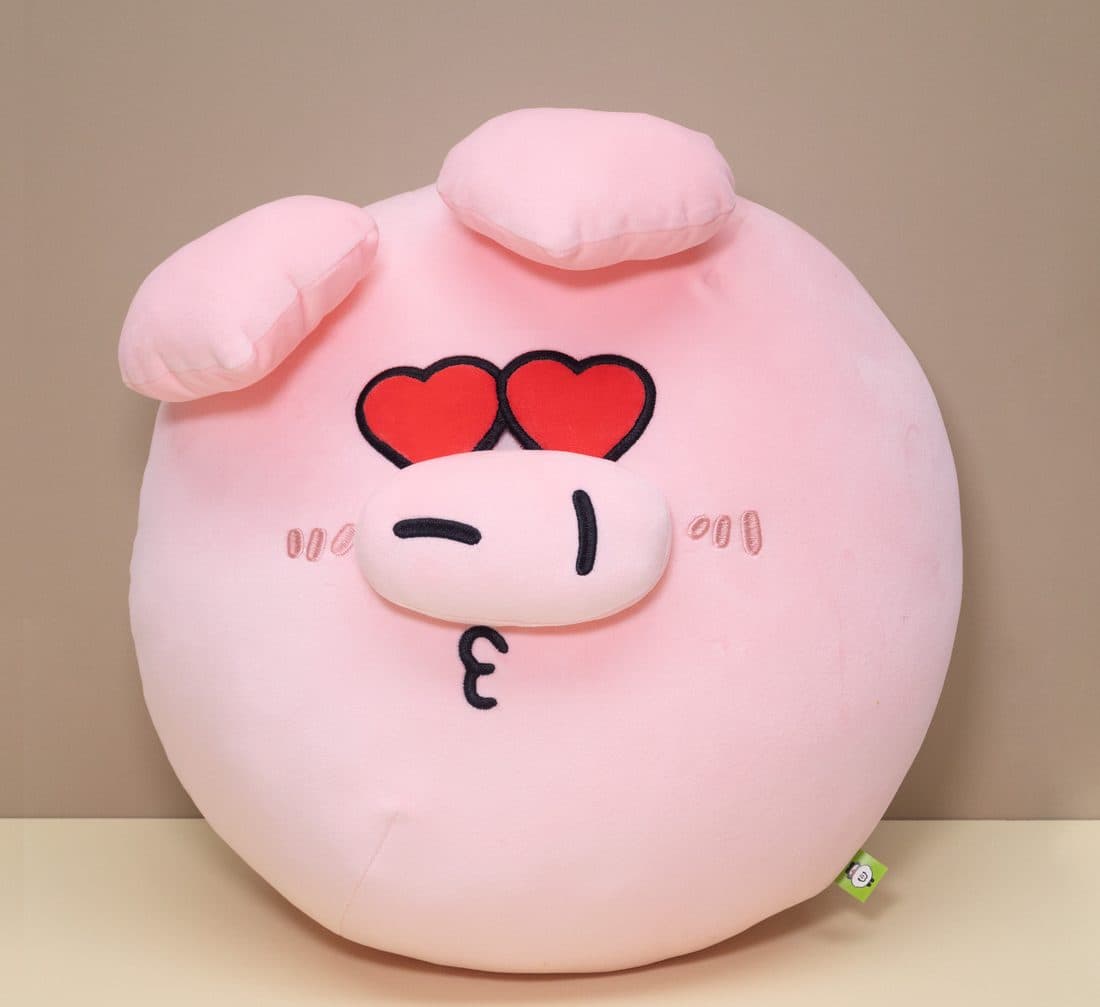 Pig Face Cushion - LovelyJoy plush toy 5